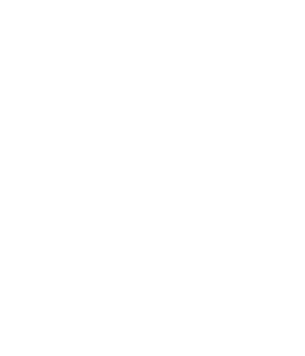 Z logo