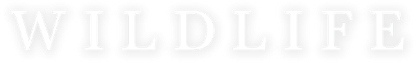 Wildlife logo