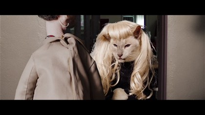 Poster for Seven Psychocats