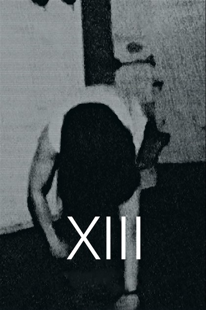 Poster for XIII