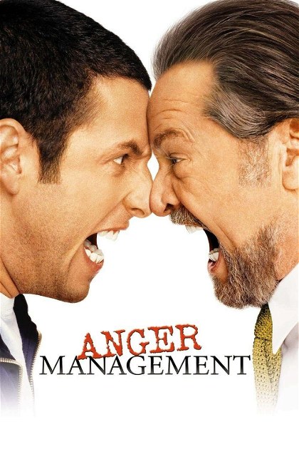 Poster for Anger Management