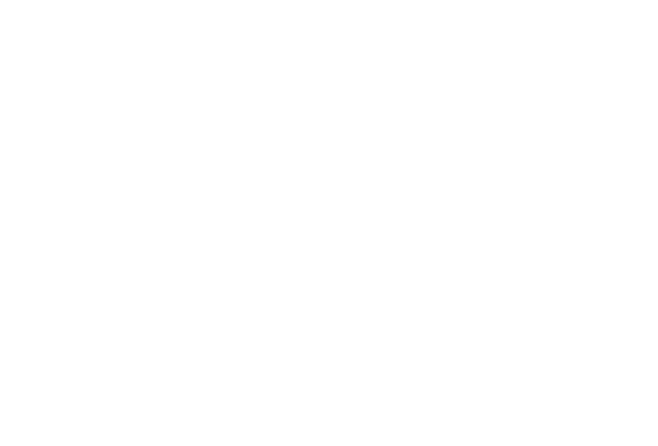 Gundam Wing: The Endless Waltz logo