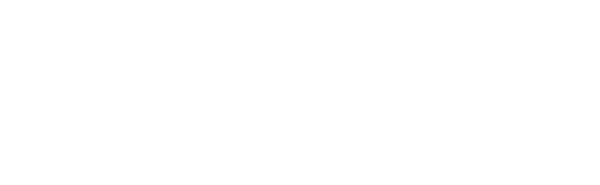The Valet logo