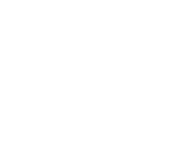 Not Another Teen Movie logo