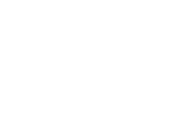 Silver Linings Playbook logo