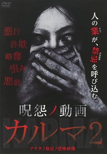 Poster for The Grudge: Video Karma 2