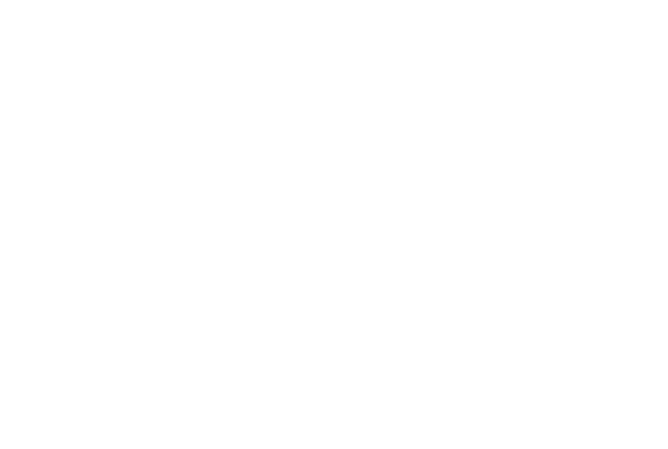 In a Violent Nature logo
