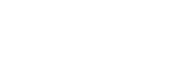 Sophie's Choice logo