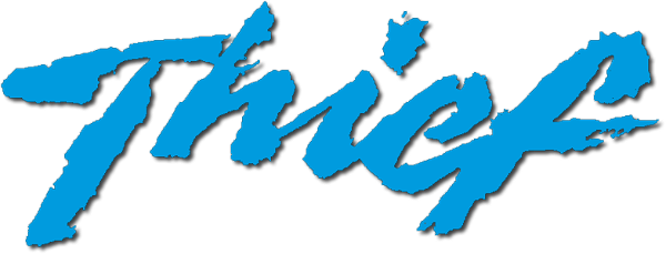 Thief logo