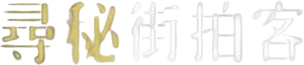 Finding Vivian Maier logo