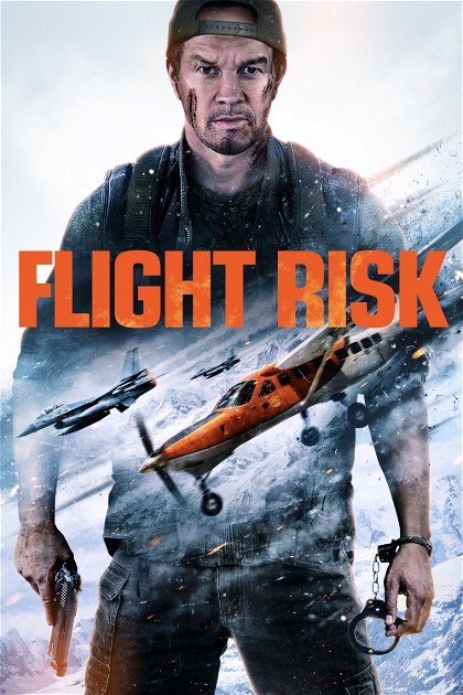 Poster for Flight Risk