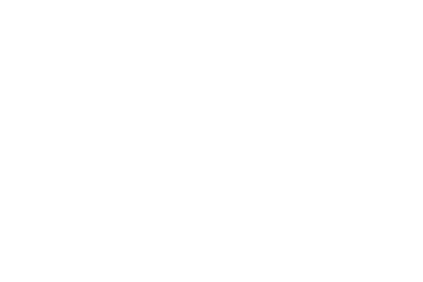 I Married a Witch logo