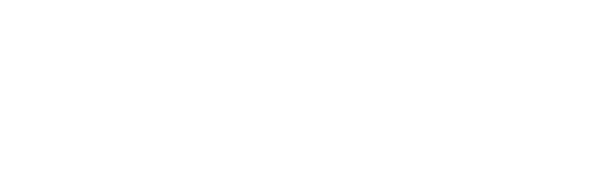 Sly logo