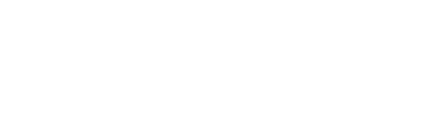 We Own the Night logo
