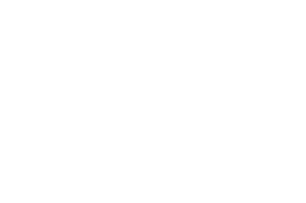 The Last Detail logo