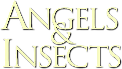 Angels and Insects logo