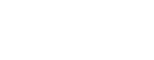 Fountain of Youth logo