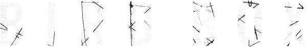 Bird Box logo