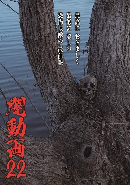 Poster for Tokyo Videos of Horror 22