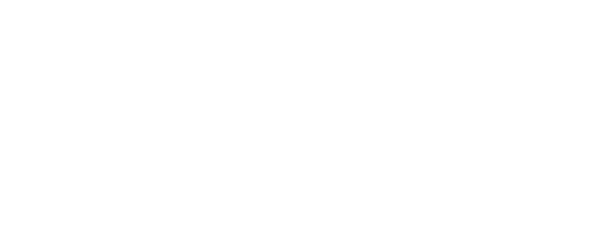 The Perfect Setting logo