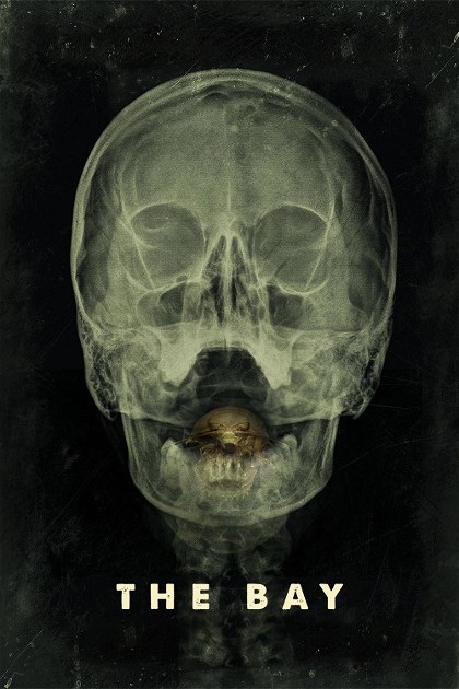 Poster for The Bay