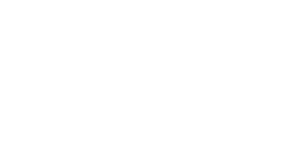 Going Berserk logo