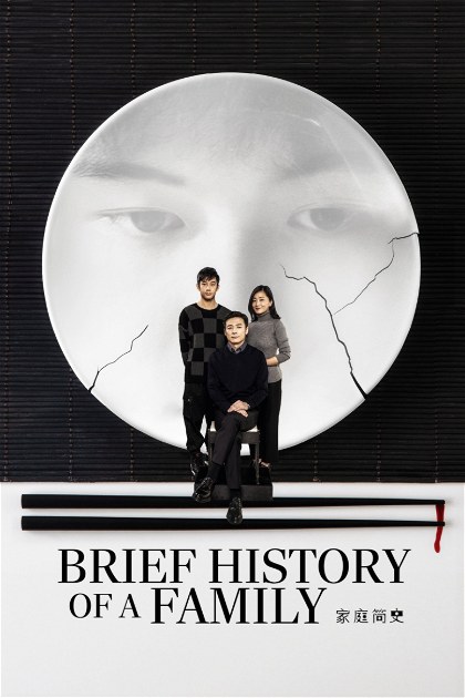 Poster for Brief History of a Family