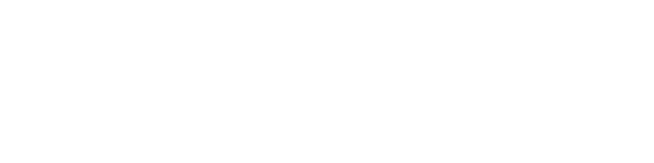 The Wedding Year logo