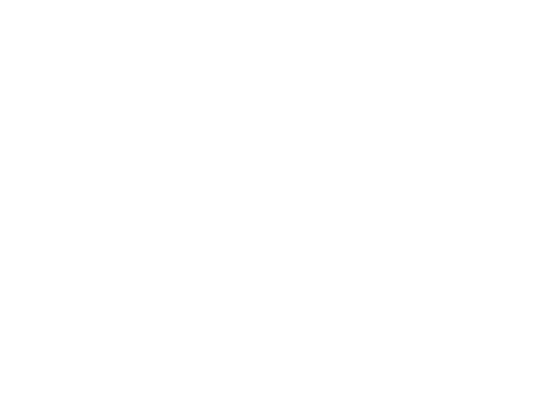The Judge logo