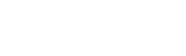 Valkyrie logo