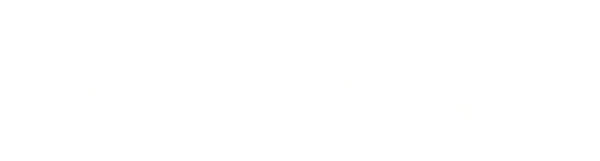 Sense and Sensibility logo