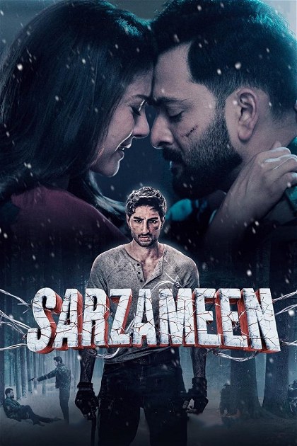 Poster for Sarzameen