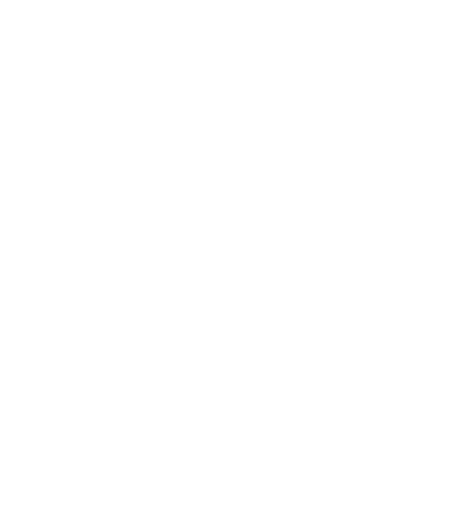 F/X logo