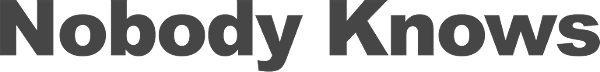 Nobody Knows logo