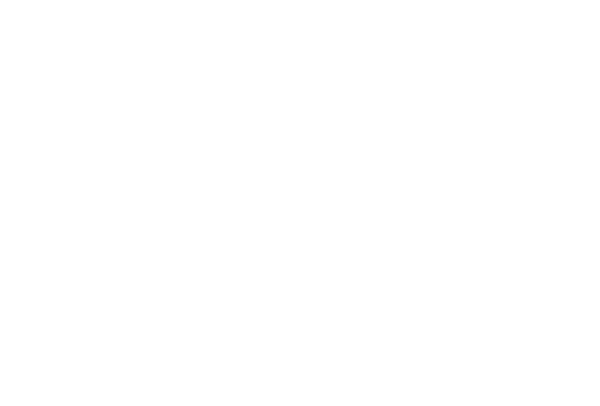 Little Women logo
